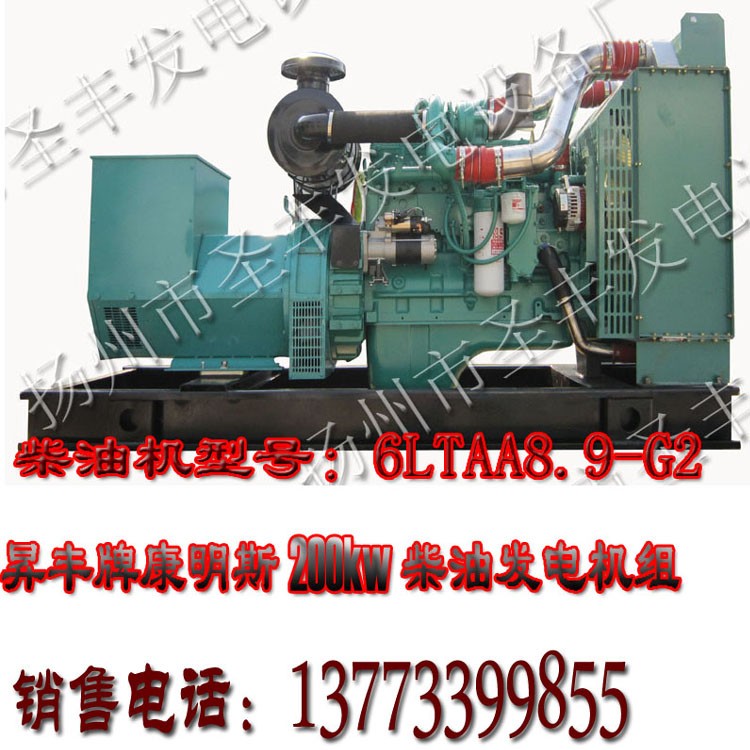 美国康明斯动力配套200KW柴油发电机组QSL9G2