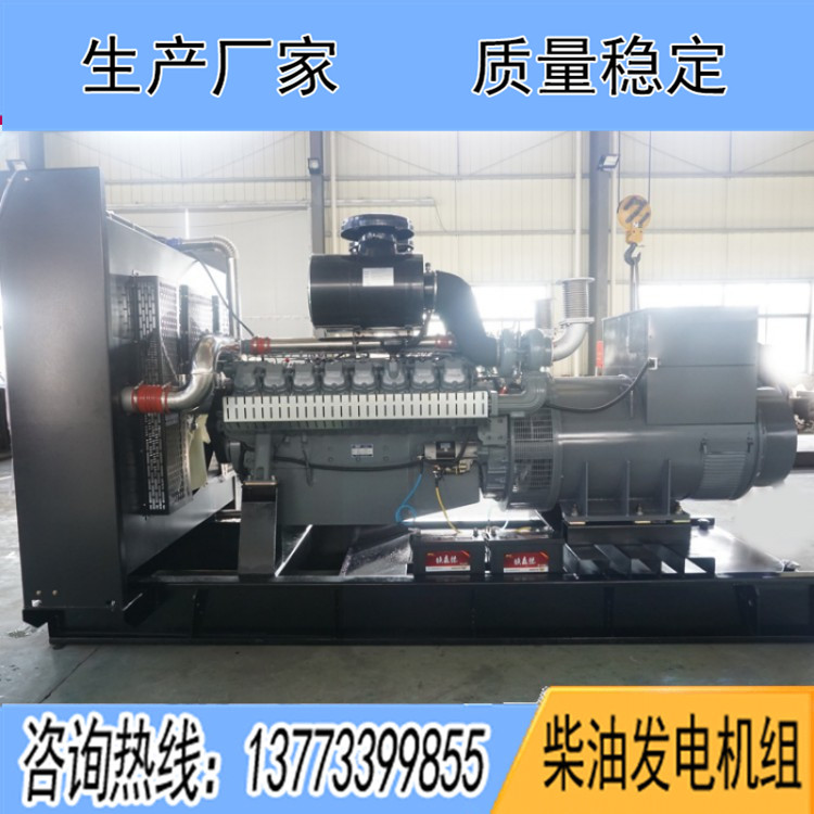 威曼800千瓦柴油发电机组D30A2