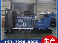 YC6TD780-D31玉柴500KW柴油发电机组